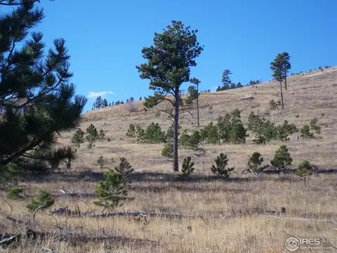 555 Labelle Rd, Boulder, CO 80302 photo 5