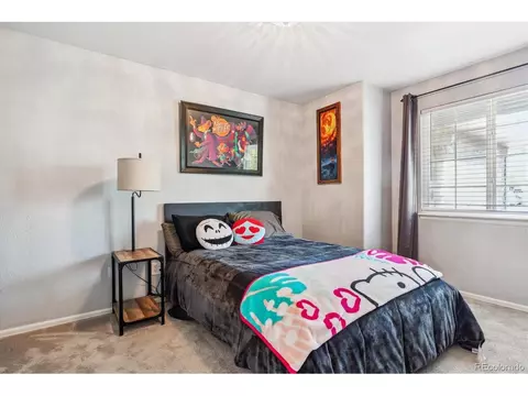 3741 E 138th Pl, Thornton, CO 80602 photo 22