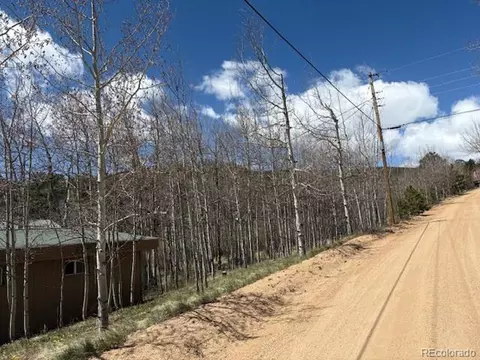 24 Timbertop Rd, Bailey, CO 80421 photo 2