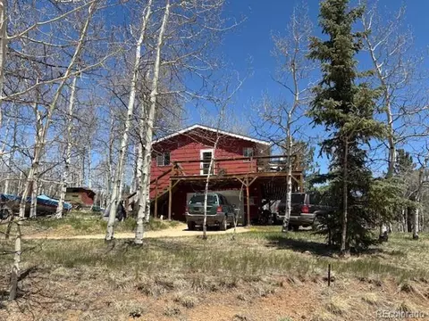 24 Timbertop Rd, Bailey, CO 80421 photo 3
