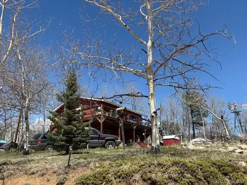 24 Timbertop Rd, Bailey, CO 80421 photo 4