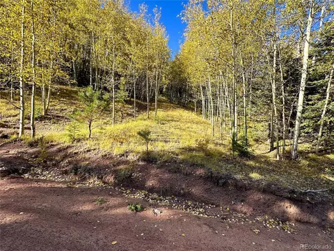 1386 Monarch Dr, Cripple Creek, CO 80813