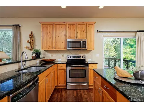 15941 E Cattle Ave, Parker, CO 80134 photo 11