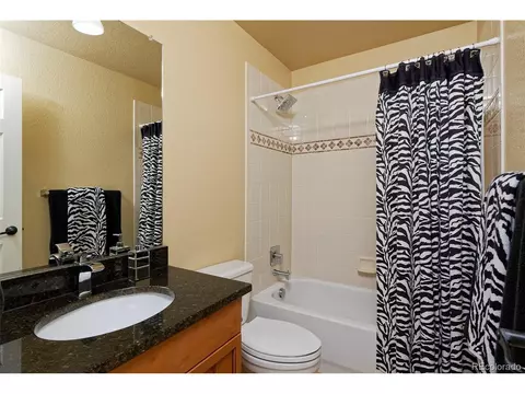 15941 E Cattle Ave, Parker, CO 80134 photo 30