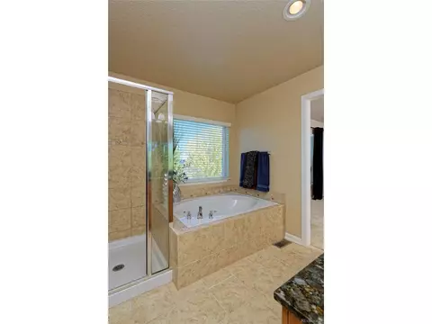 15941 E Cattle Ave, Parker, CO 80134 photo 27