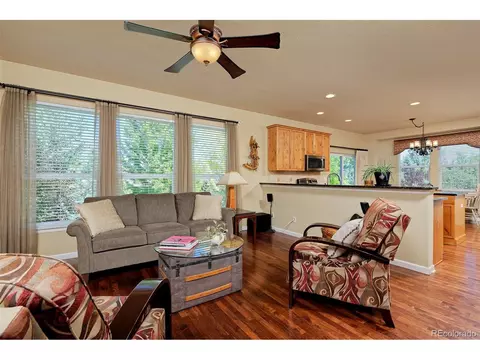 15941 E Cattle Ave, Parker, CO 80134 photo 19