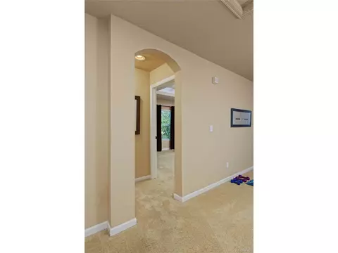 15941 E Cattle Ave, Parker, CO 80134 photo 21
