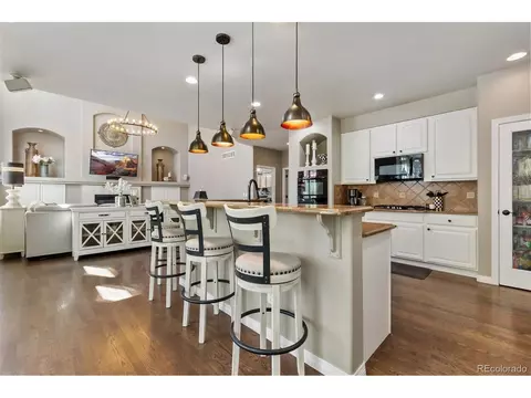 11004 Puma Run, Lone Tree, CO 80124