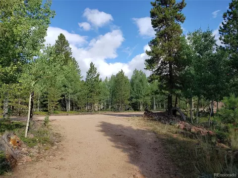 75 W Crosscut, Bailey, CO 80421 photo 18