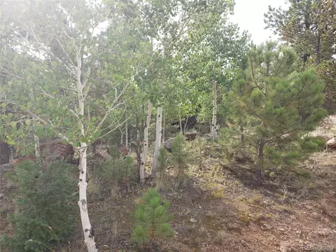 75 W Crosscut, Bailey, CO 80421 photo 15