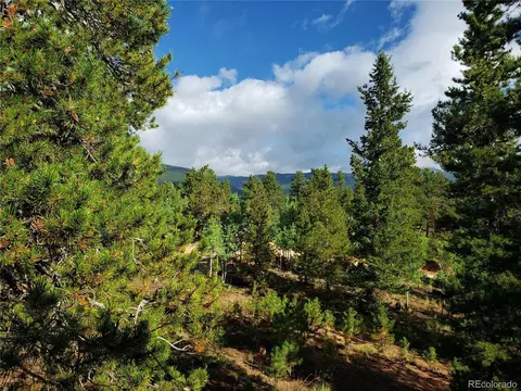 75 W Crosscut, Bailey, CO 80421 photo 17