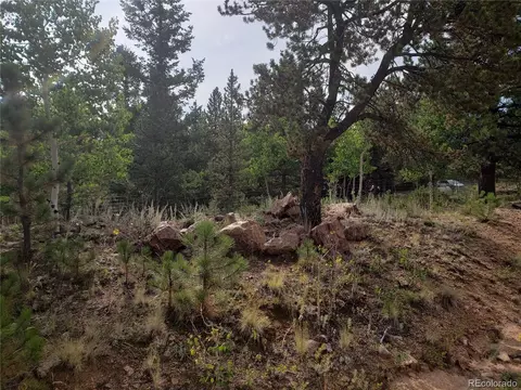 75 W Crosscut, Bailey, CO 80421 photo 14