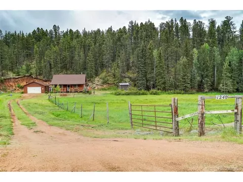 1240 Conestoga Creek Rd, Florissant, CO 80816