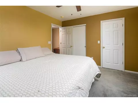 10106 Grape Ct, Thornton, CO 80229 photo 18