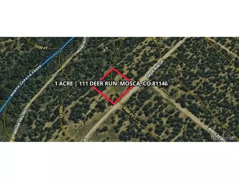 111 Deer Run, Mosca, CO 81146 photo 3