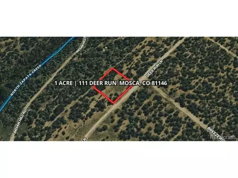 111 Deer Run, Mosca, CO 81146
