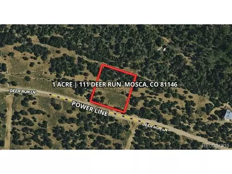 111 Deer Run, Mosca, CO 81146 photo 7