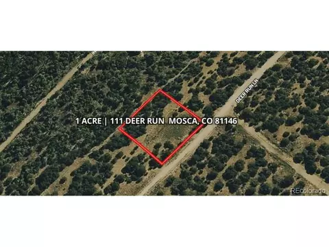 111 Deer Run, Mosca, CO 81146 photo 2