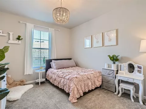 19014 W 85th Blf, Arvada, CO 80007 photo 15