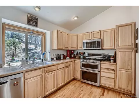 146 N Circle Dr, Bailey, CO 80421 photo 9