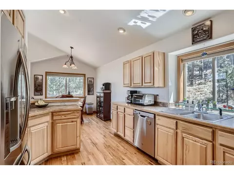 146 N Circle Dr, Bailey, CO 80421 photo 10