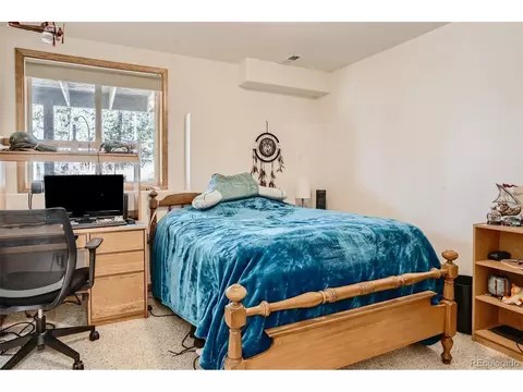 146 N Circle Dr, Bailey, CO 80421 photo 16
