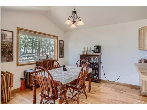 146 N Circle Dr, Bailey, CO 80421 photo 7