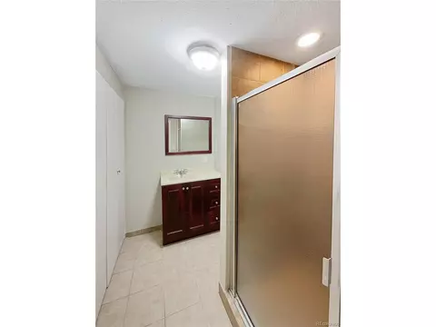 21163 E 45th Ave, Denver, CO 80249 photo 16