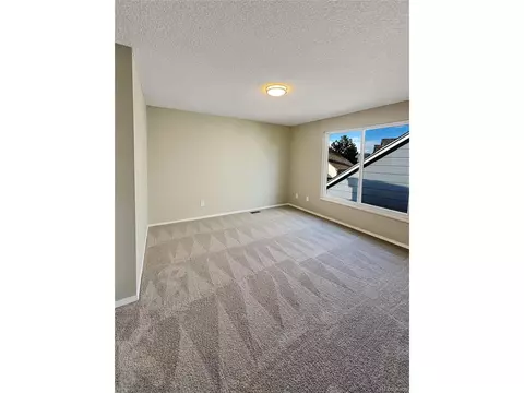 21163 E 45th Ave, Denver, CO 80249 photo 12