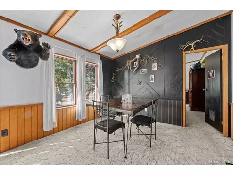 627 Harmon Dr, Cotopaxi, CO 81223 photo 13
