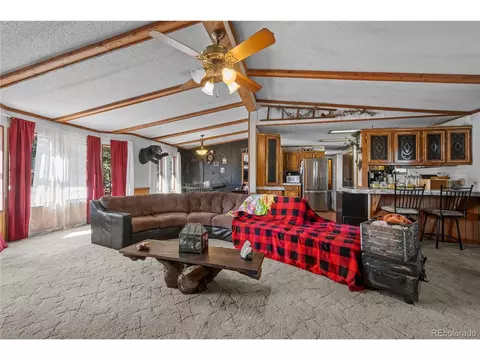 627 Harmon Dr, Cotopaxi, CO 81223 photo 11