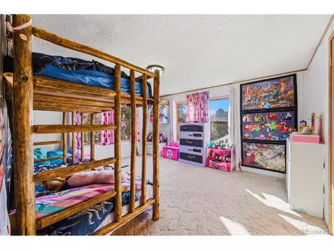 627 Harmon Dr, Cotopaxi, CO 81223 photo 27