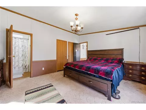 627 Harmon Dr, Cotopaxi, CO 81223 photo 23