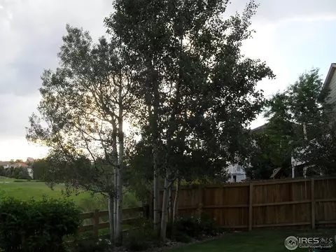 782 Eldorado Dr, Superior, CO 80027 photo 18