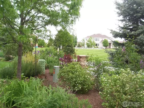 8377 Castaway Dr, Windsor, CO 80528 photo 22