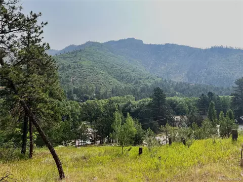 5330 Chipita Pines Dr, Cascade, CO 80809