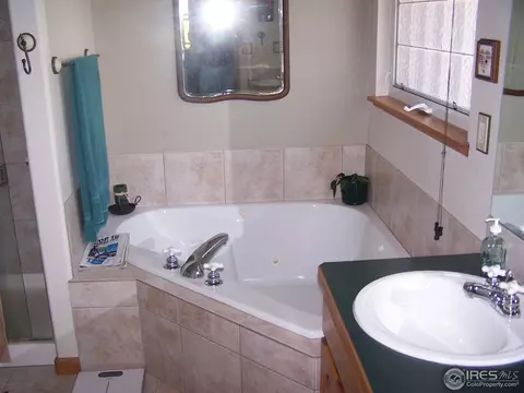 4399 Indigo Dr, Severance, CO 80550 photo 10