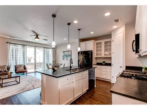 4363 E 96th Way, Thornton, CO 80229 photo 3
