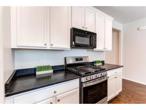 4363 E 96th Way, Thornton, CO 80229 photo 10