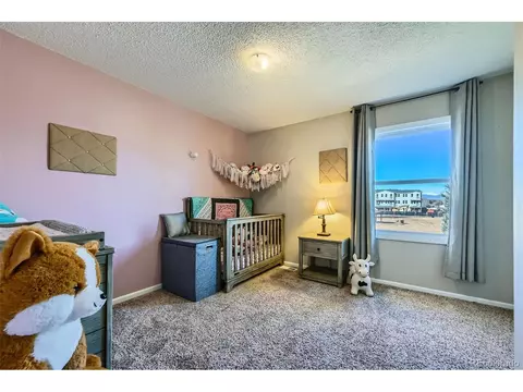 114 Walnut Dr, Frederick, CO 80530 photo 16
