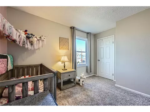 114 Walnut Dr, Frederick, CO 80530 photo 15