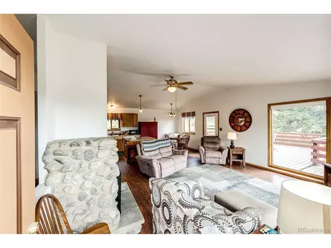 1047 Sleepy Hollow Dr, Bailey, CO 80421 photo 19