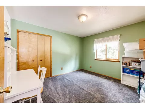 1047 Sleepy Hollow Dr, Bailey, CO 80421 photo 29