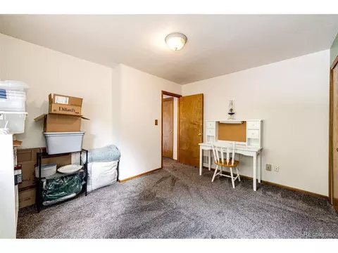 1047 Sleepy Hollow Dr, Bailey, CO 80421 photo 30