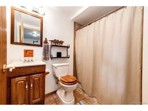1047 Sleepy Hollow Dr, Bailey, CO 80421 photo 37