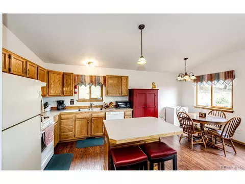 1047 Sleepy Hollow Dr, Bailey, CO 80421 photo 22