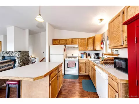 1047 Sleepy Hollow Dr, Bailey, CO 80421 photo 25