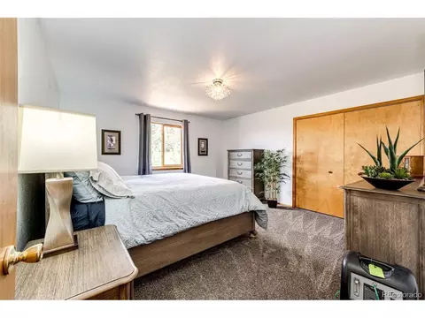 1047 Sleepy Hollow Dr, Bailey, CO 80421 photo 26