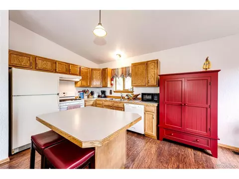 1047 Sleepy Hollow Dr, Bailey, CO 80421 photo 24