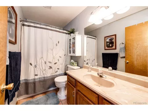 1047 Sleepy Hollow Dr, Bailey, CO 80421 photo 28